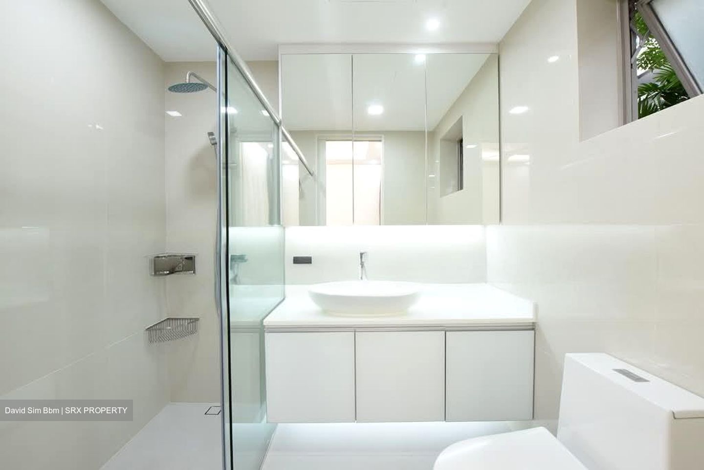 Nassim Jade (D10), Condominium #539696911